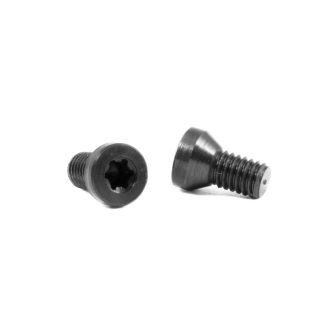 2 screws for CZ aluminum grips